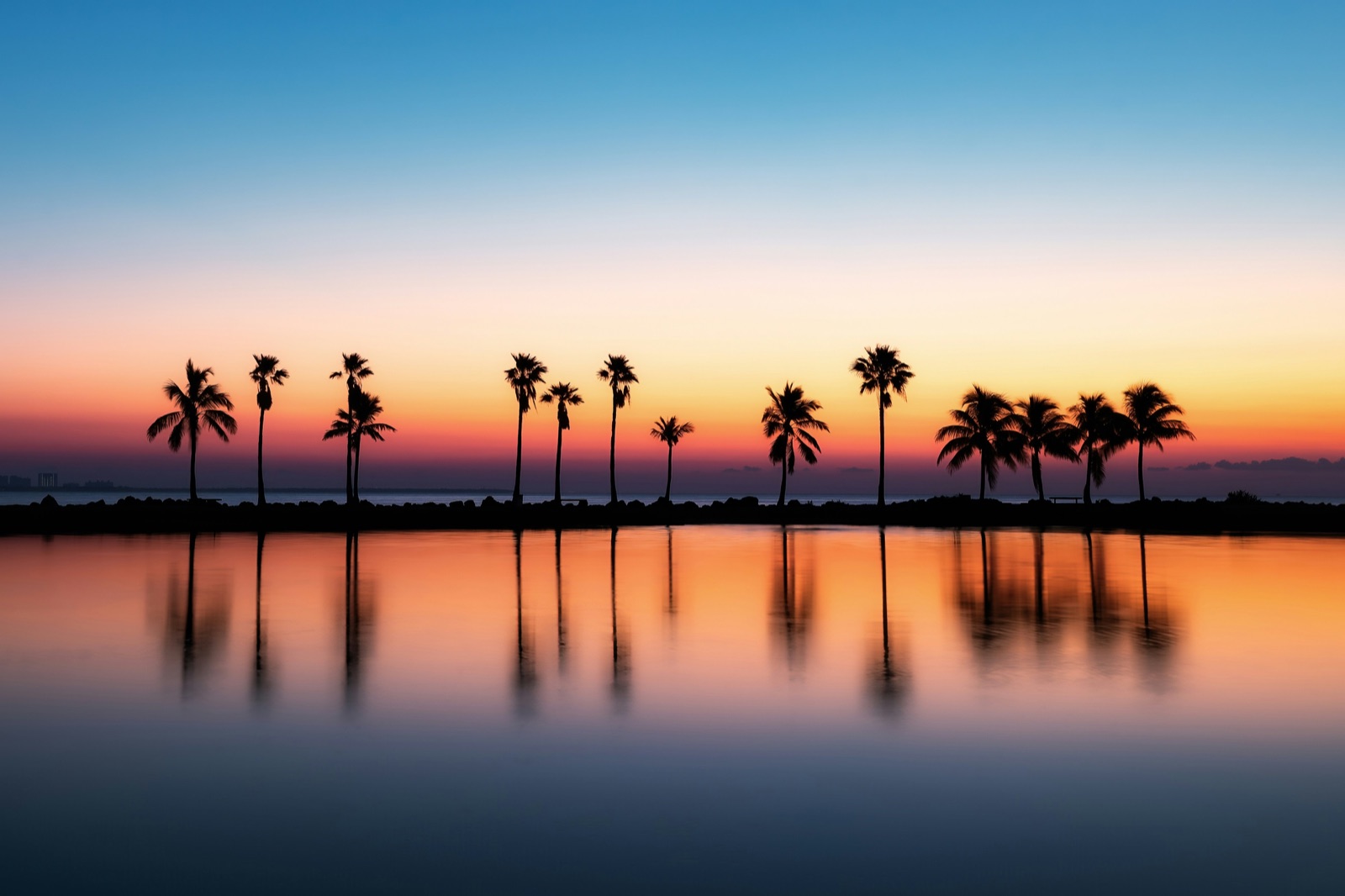 Palm trees on calm water at twilight on the Florida coast